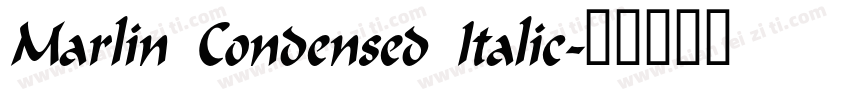 Marlin Condensed Italic字体转换
